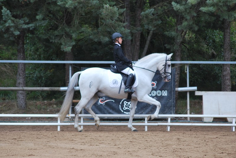 Resultados de la 7&ordf; Fase del Campeonato Navarro de Doma Cl&aacute;sica y Doma Adaptada celebrado el domingo 1 de octubre en Labiano